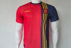 SPAIN 1996 RETRO HOME JERSEY EMBROIDERY TORRES